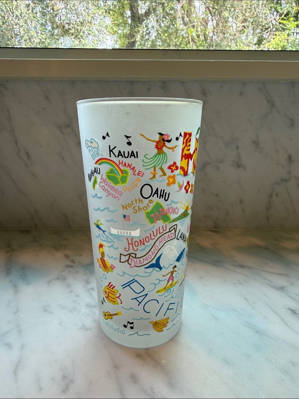 CatStudio Hawaii Themed Tall Frosted Glass Tumbler